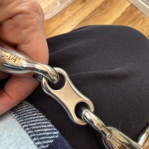 Polished Silver Horse Bit